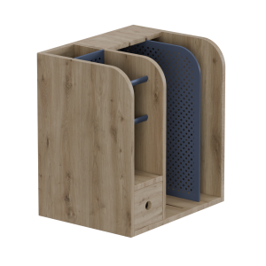 POINT CASE